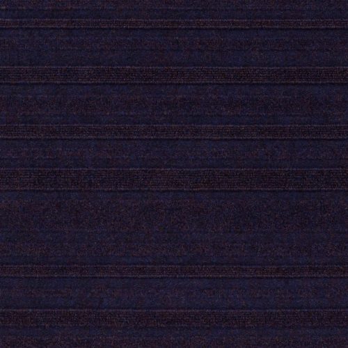 1812 Indigo Snake