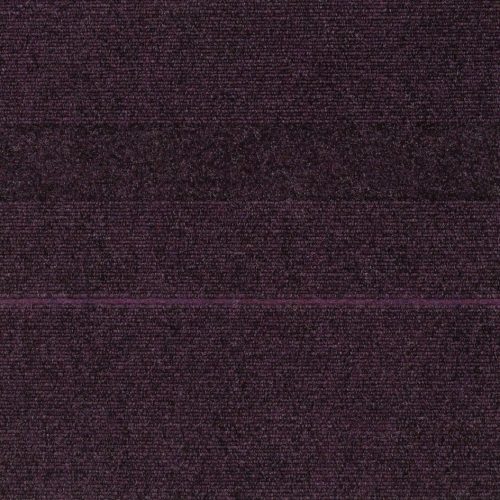 12820 Purple Patch