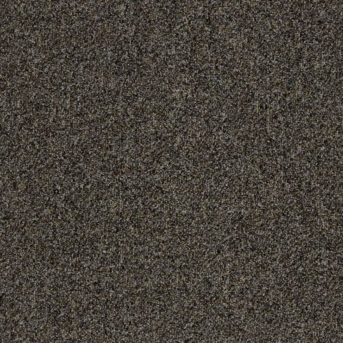6442 fossil