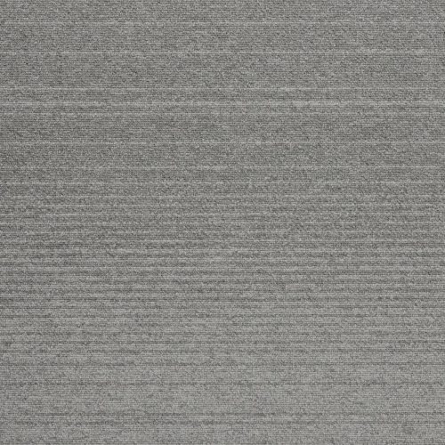 21501 silver