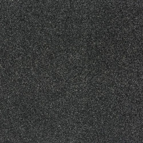 33205 mussel