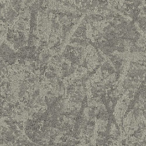22802 sesame